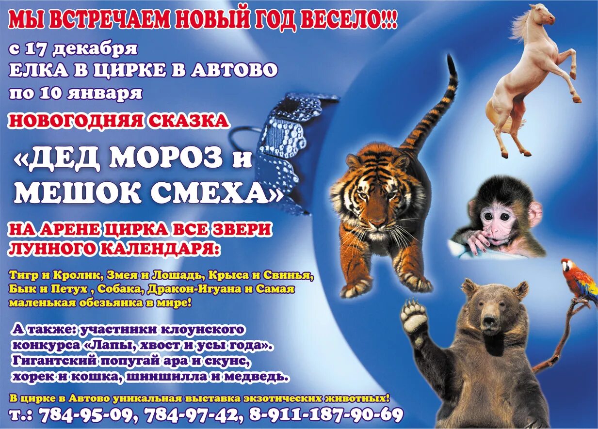 схема цирка в автово. афиша животные в цирке. с новым годом мадагаскар. цирк в автово. билеты в цирк автово санкт-петербург.
