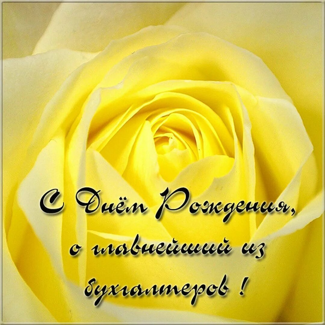 Торт бухгалтеру на заказ более 40 идей!