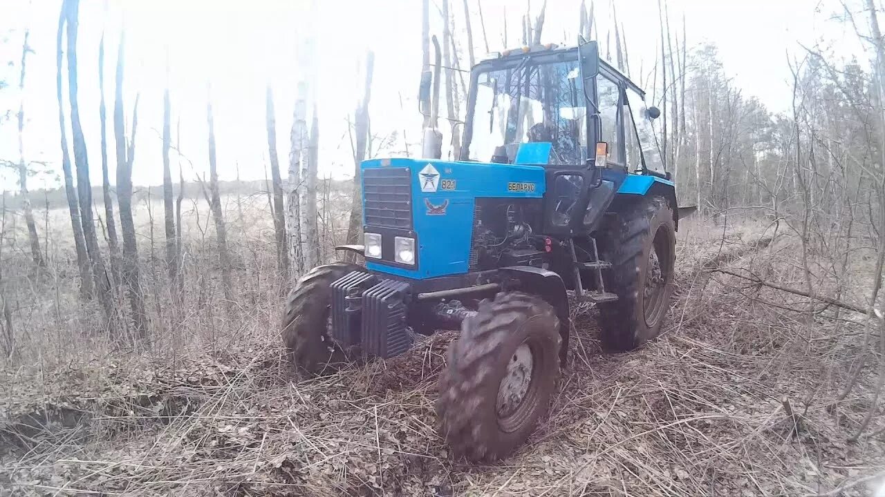 Лесной трактор МТЗ 82. МТЗ 82.1. Трактор МТЗ 82 лес. Трактор МТЗ 80 В лесу.