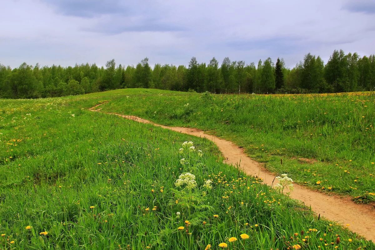 Тропинка деревни около Луга. Луга тропа лес. Деревенские тропинки Марий Эл. Поляна с тропинкой.