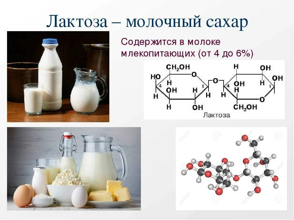 Количество лактозы в молочных продуктах. Лактоза это углевод. Лактоза молочный сахар. Лактоза в молоке. В молоке лактоза молочный сахар.