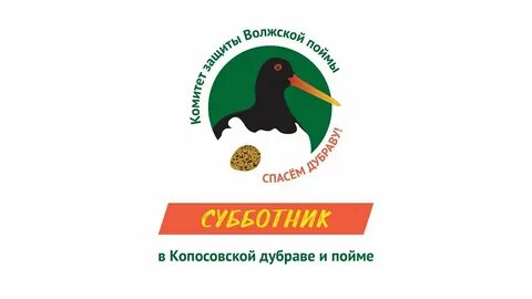 Дубрава волжский