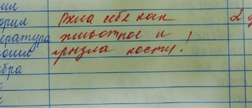 Смешные домашние задания. Записи в школьных дневниках. Смешные записи в дневниках и тетрадях школьников. Смешные записи в тетрадях. Смешные записи в дневниках.