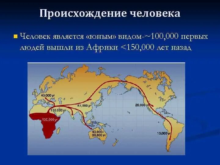 Где жили древнейшие люди карта. Откуда появились люди. Откуда вышло человечество 5 букв. Славянская буква z земля. Славянская буква z земля.