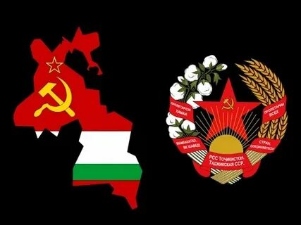 Асср видео