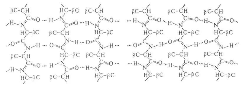 Общая формула белка химия. Белки общая формула химия. Формула белков. Общая формула белков химия. Формула белков.