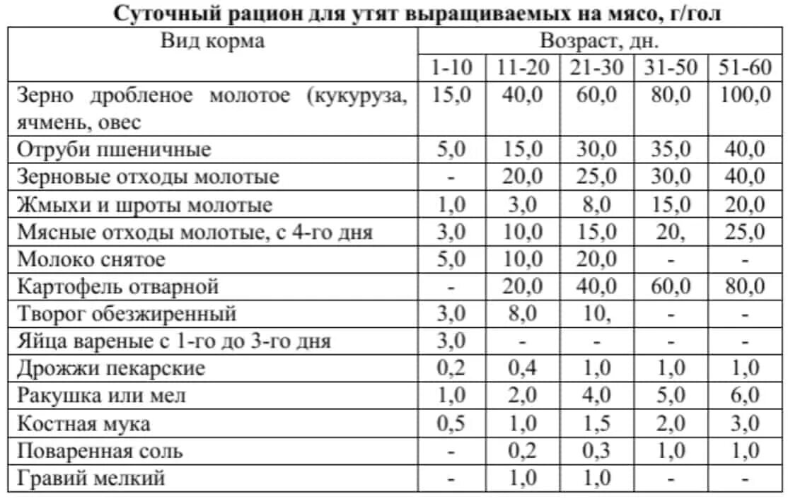 Рацион кормления утят с 1 дня. Корм для мулардов. Таблица кормления уток мулард. Корм для мулардов. Норма комбикорма для уток мулардов.