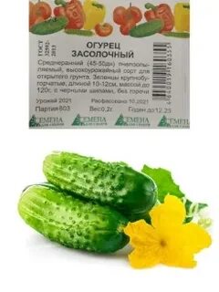 Семена для сибири сайт