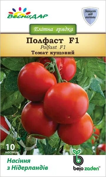 Томат полфаст отзывы фото. Томат Полфаст. Сорт Полфаст помидоры. Гавриш томат Полфаст f1 10 шт. (Голландия),. Томат Полфаст характеристика.