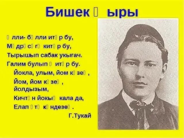 Элли стих