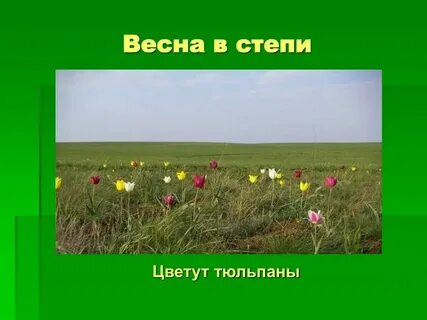 Зона степей название заповедника