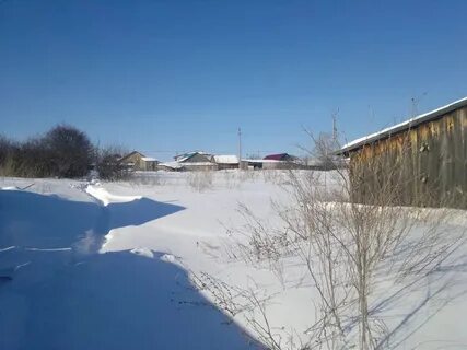 Погода в заборовке