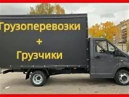 Газель бузулук самара