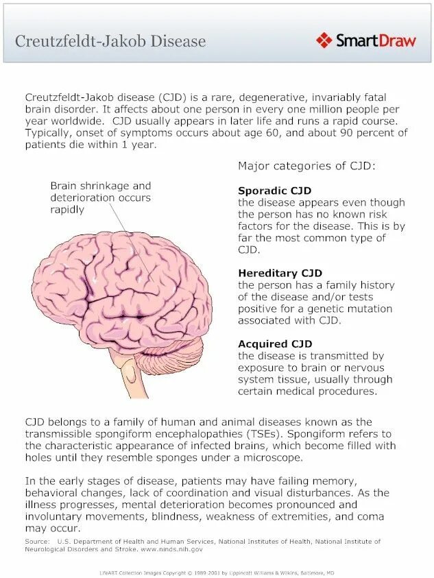 Brain disorders. Болезнь Крейтцфельдта-Якоба. Крейтцфельдта-Якоба симптомы. Болезнь Крейтцфельдта Якоба биохимия.