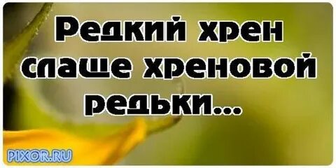 Почему хрен