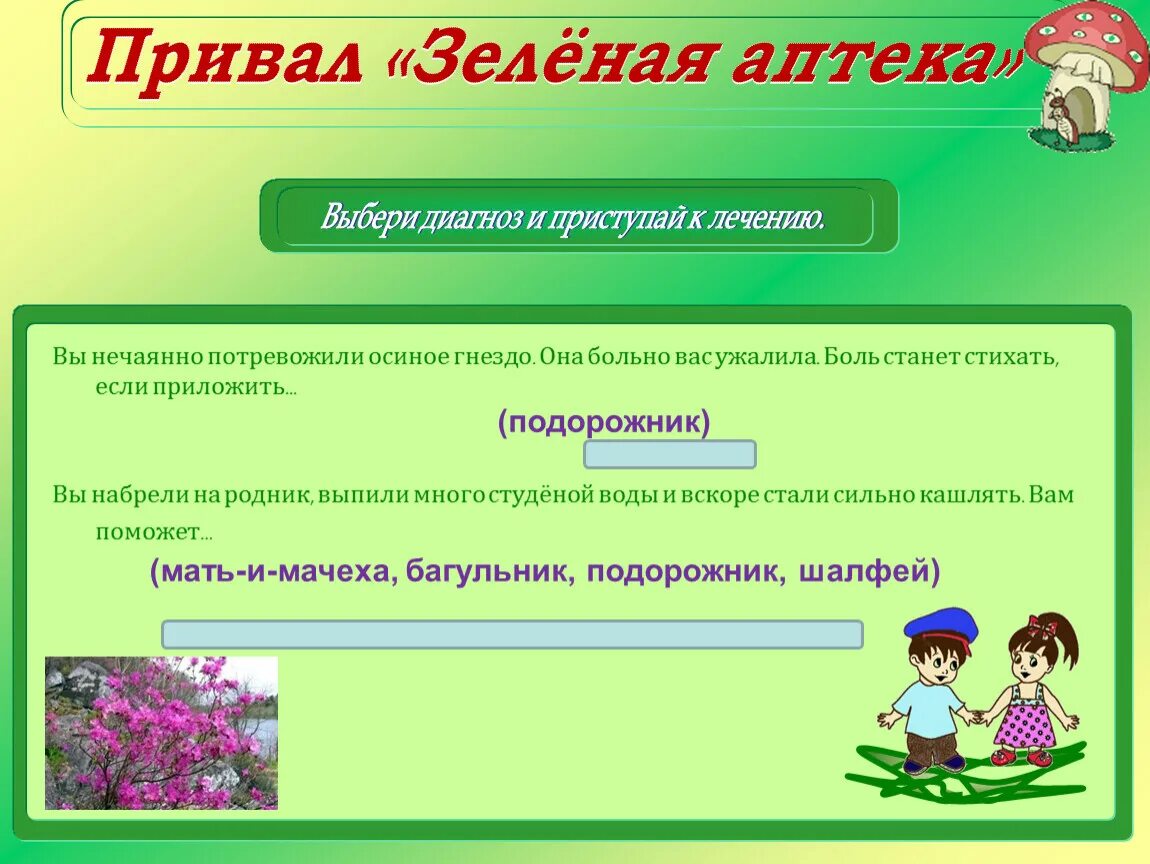Программа зеленые города