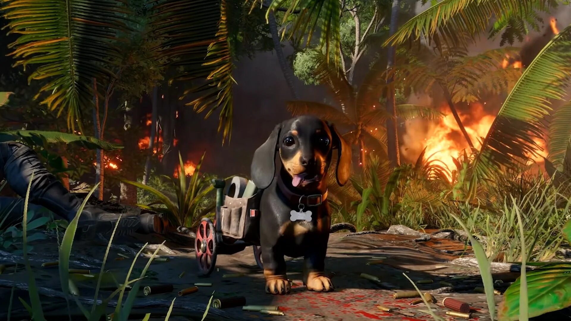 чоризо фар край. чоризо far cry 6. чоризо far cry 6. фар край 6 собака. чоризо фар край 6.