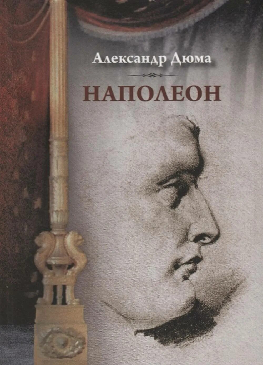 Книгу тарле наполеон. Дюма а. «наполеон. жизнеописание». наполеон дюма книга. наполеон биография книга.