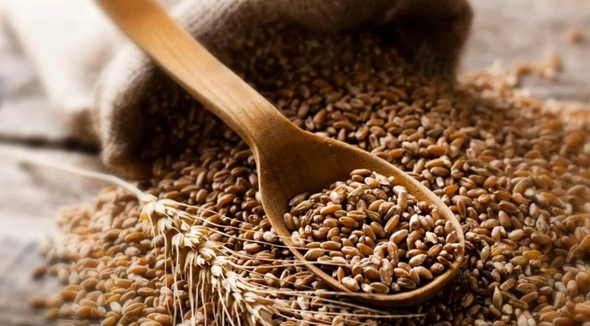 Зерновые культуры дрожжи. Отруби рассыпные пшеничные. Зерновые культуры дрожжи. Зерновые культуры дрожжи. Зерновые и бобовые продукты.