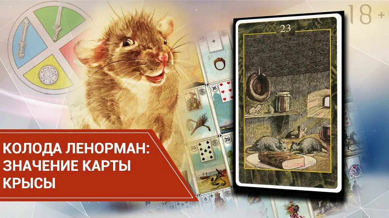 Значение карты крыса. Крысы ленорман. карта крысы сочетание. крыса карточка. три крысы с картами.