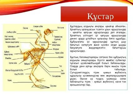 Феминизациялық гипнозды үйрету порно