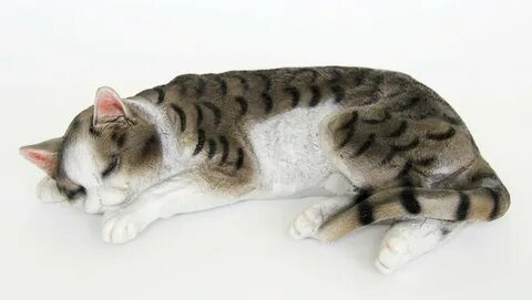 Кошачья оптом