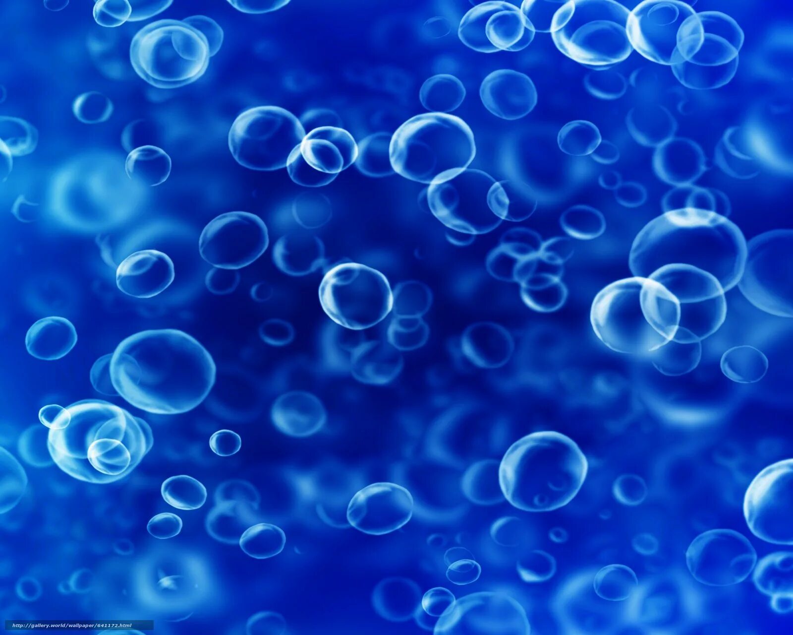 Водные пузырьки. Фон пузыри. Голубой фон с пузырьками. Фон вода с пузырьками. Пузыри текстура.