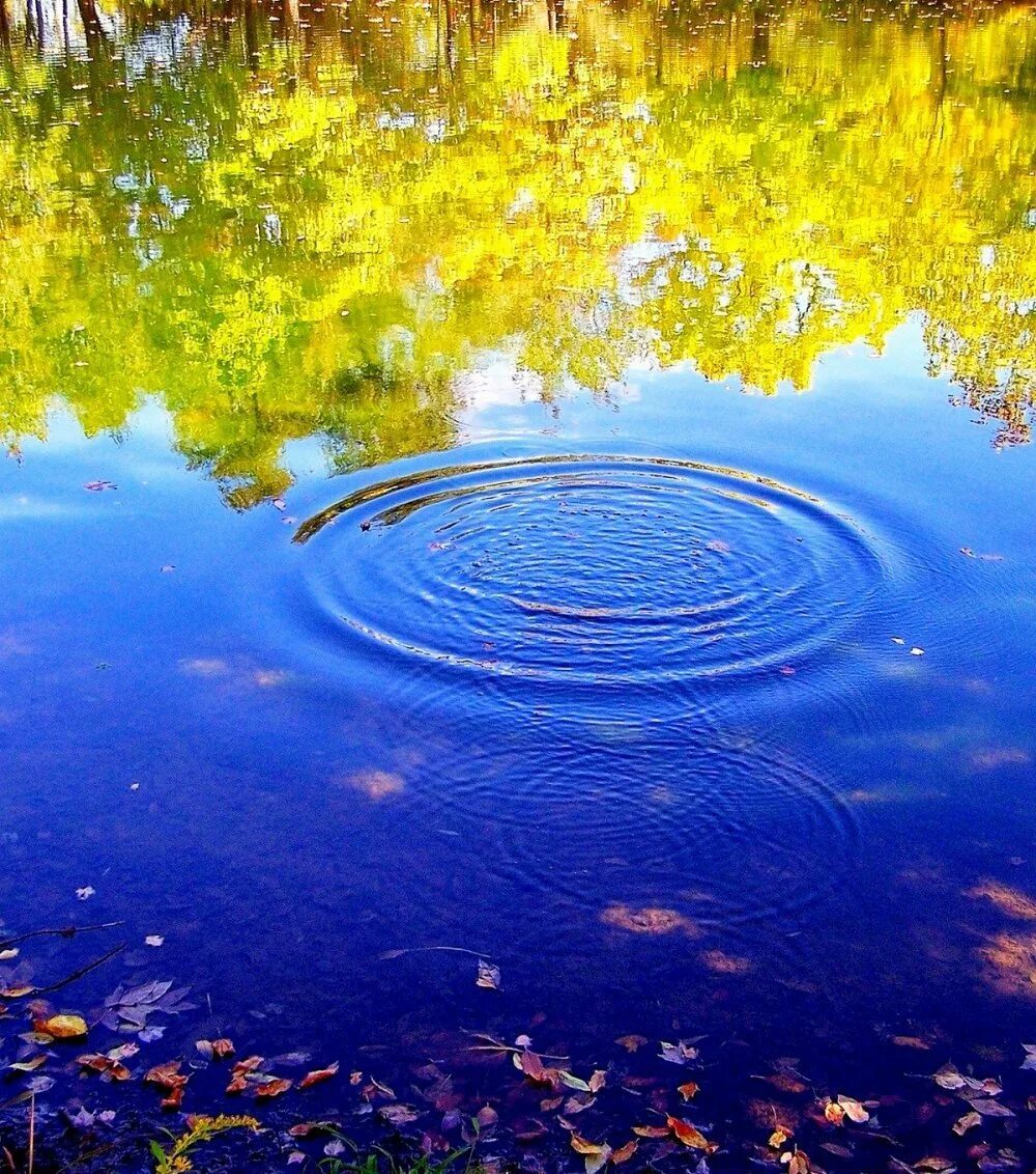 Круги на воде. КГИ вода. Пейзаж с водой. Гладь воды. Везде лужи воды