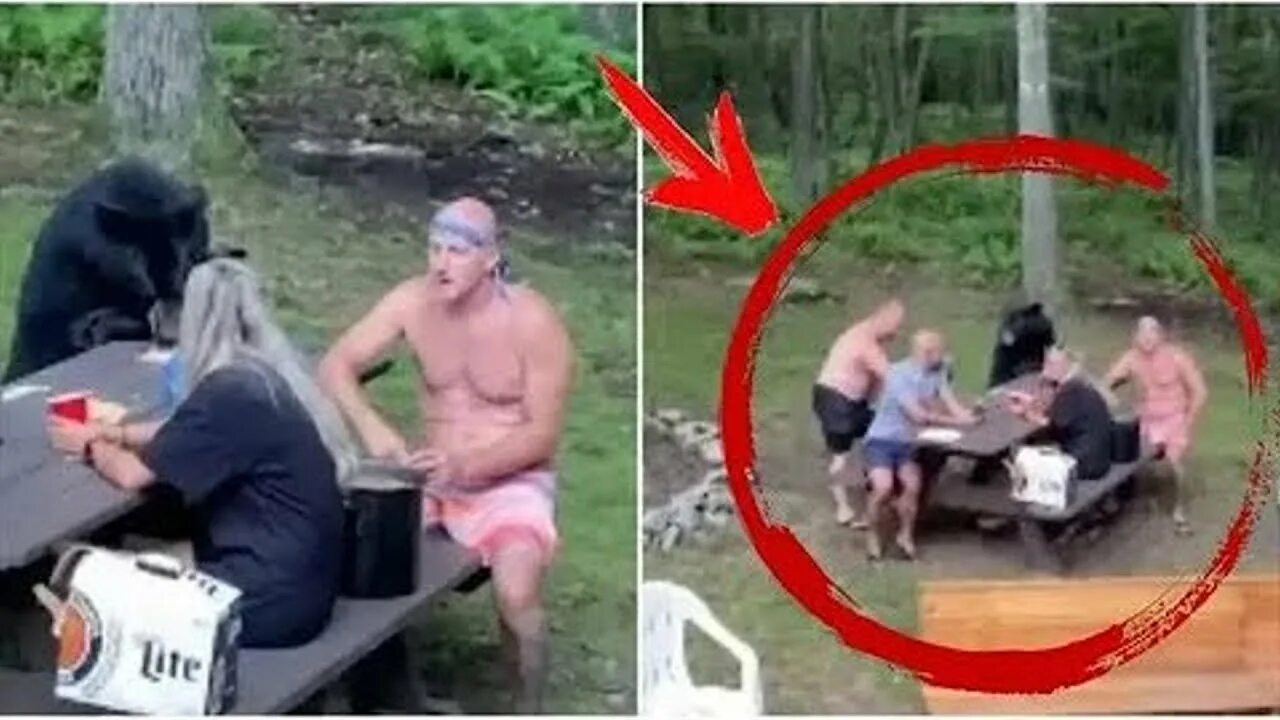 Самый разгар веселья. Реальные истории из жизни реальных. в разгар веселья случилось.