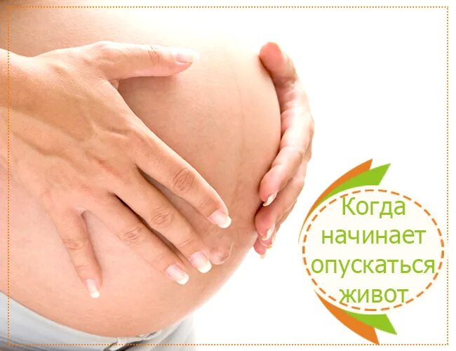 На какой неделе опускается живот у первородящих. Фото когда опустился живот. опустившийся живот у беременных. опущенный живот перед родами у первородящих. когда опускается живот у беременных фото.