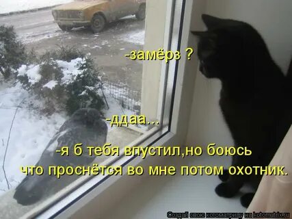 Я больше не боюсь