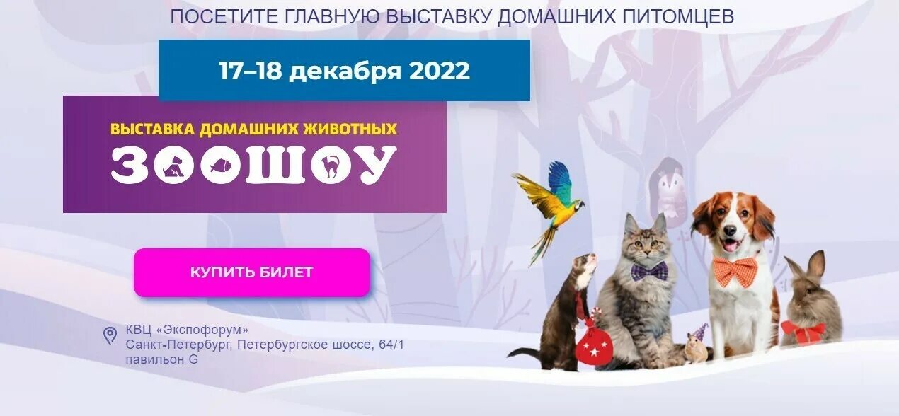 Выставка собак экспофорум 2024. Выставки животных в Санкт-Петербурге. Выставка домашних животных. Зоошоу ЭКСПОФОРУМ. Выставка животных в СПБ ЭКСПОФОРУМ.