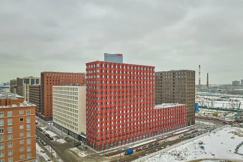 Domgo зиларт