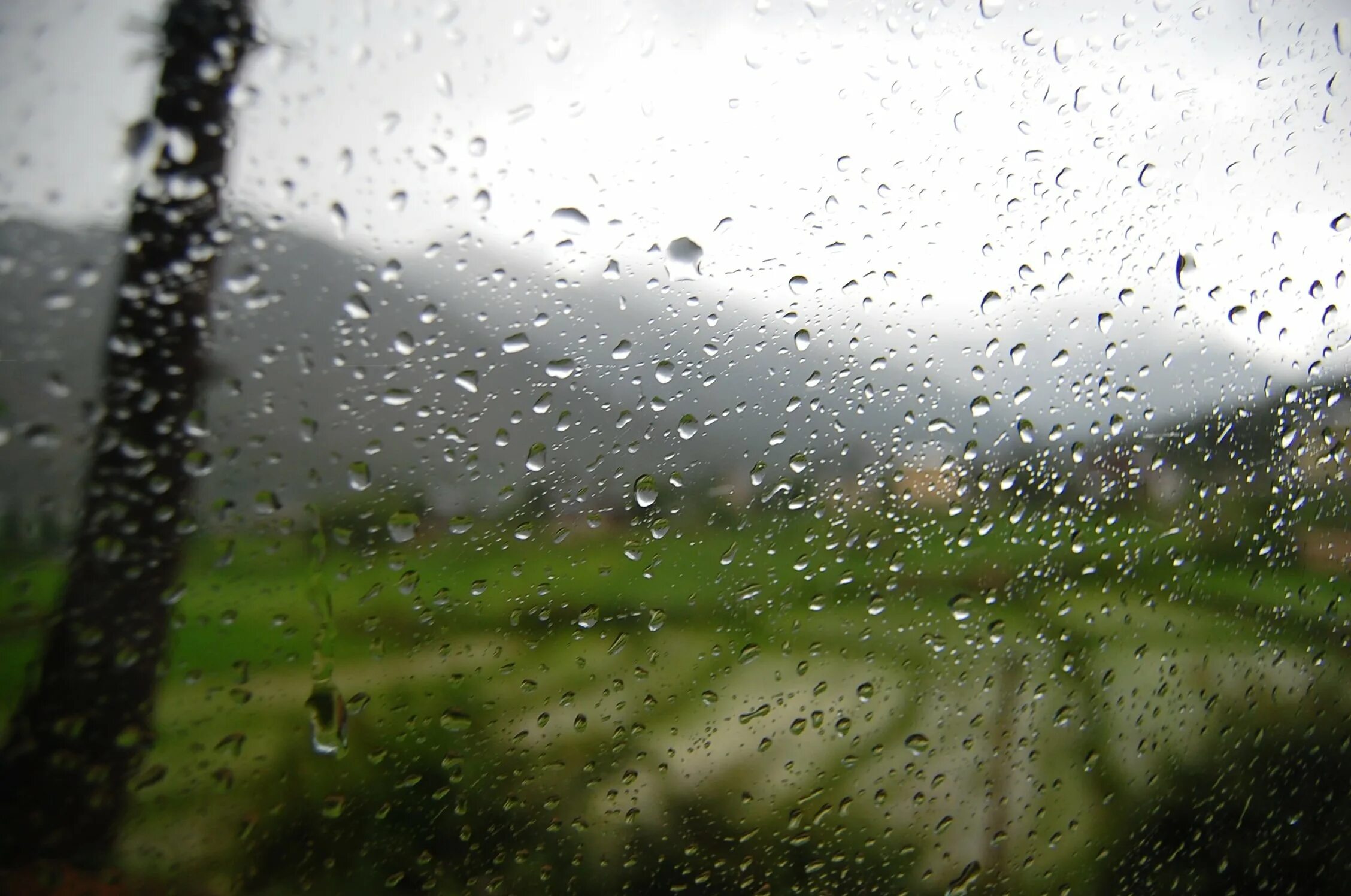 Дождь. Дождь фон. Серый дождь. Серый дождик. Дождик крупный