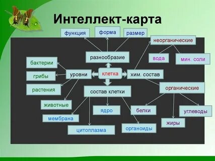 Интеллект карта по биологии 8 класс