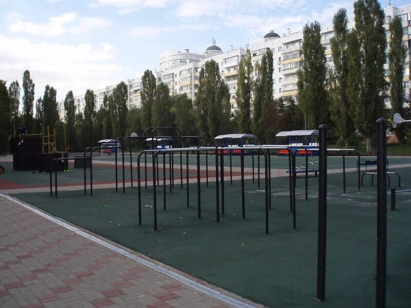 парк победы спорт. парк победы спорт. лефортово воркаут. парк победы спорт. воркаут площадка парк победы.