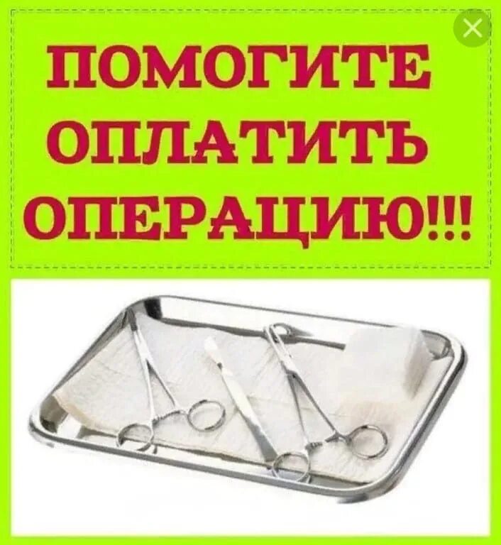 Деньги на операцию срочно. Помогите оплатить операцию. Сбор на операцию. Нужна помощь на операцию. Помогите кошке на операцию.