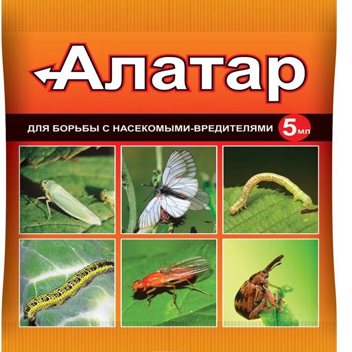 Алатар для сада от насекомых вредителей. Алатар 5 мл пакет 150шт вх. Алатар 25мл вх 30шт. Средство для борьбы с насекомыми-вредителями "Алатар", 25 мл.. Алатар от вредителей.