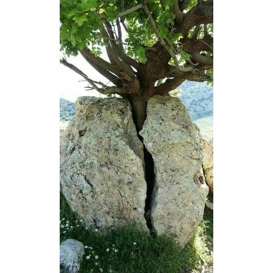 Так как выглядит очень