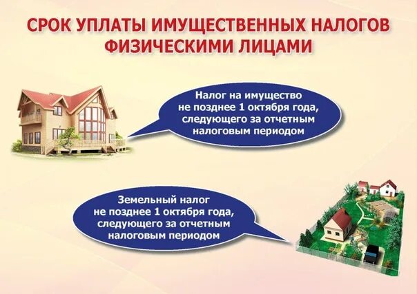 Сроки уплаты налогов физ лиц