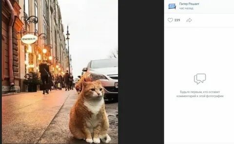 Питер решает
