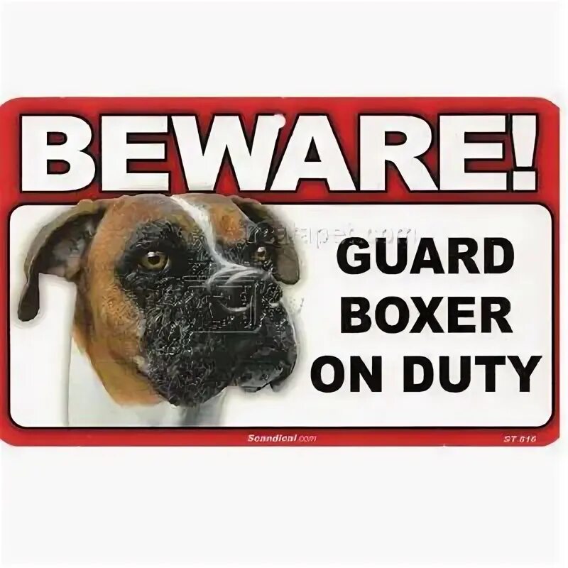 Боксер охранник. Guard Boxer on Duty.