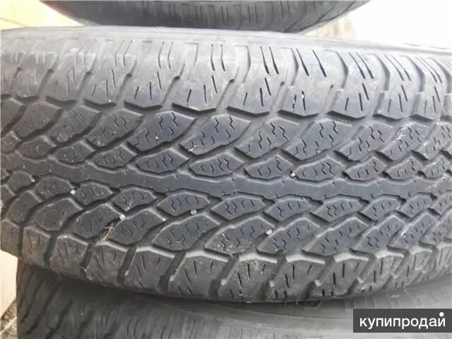 Шины бу 205 70 15 всесезонные. Всесезонная резина 205 70 r15. 205/70-15 кама-232. Гудиер вранглер ат 205 70 15. Belshina 121 205 /70r15.