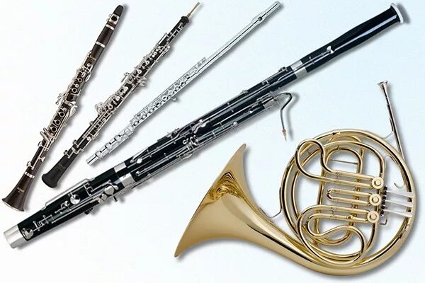 Кларнет и фагот. Валторна и гобой. Валторна гобой кларнет Фагот флейта. Флейта гобой кларнет Фагот. Духовой квинтет инструменты.