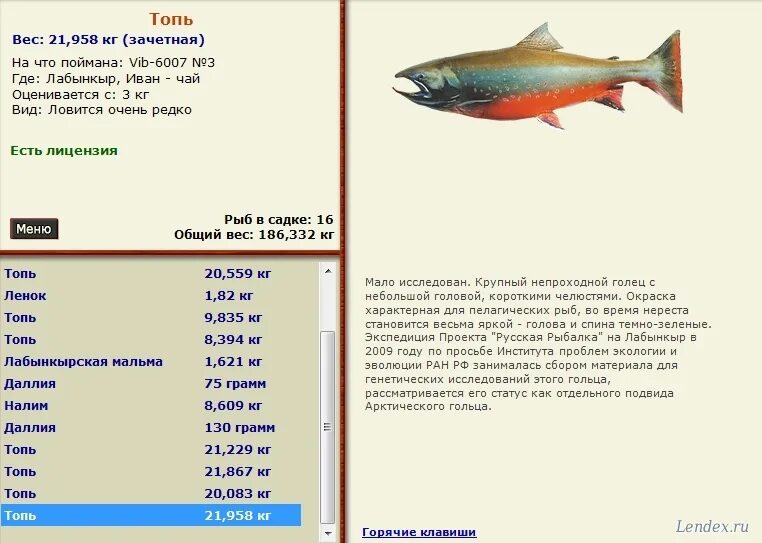 На что ловить палию Путешествие на Кольский полуостров, рыбалка на форель, кумжу, палию, гольца и др