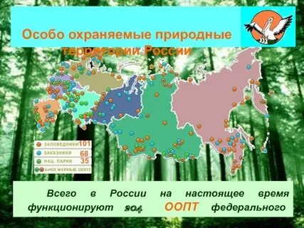 Особые федеральные территории это