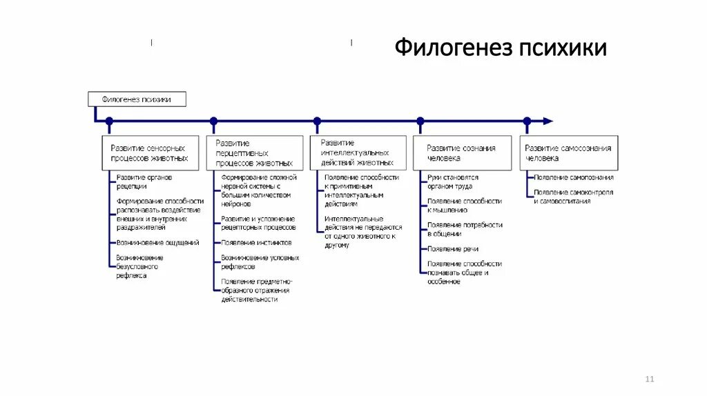 Филогенез стадии. Основные этапы развития психики в филогенезе. Стадии развития психики в филогенезе в психологии. Характеристика стадий развития психики в филогенезе. Структурно логическая схема "филогенез психики".