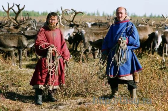 Коренное население природной зоны занимается. Жители степи. Степные народы. Народы живущие в степи. Жители степей люди.