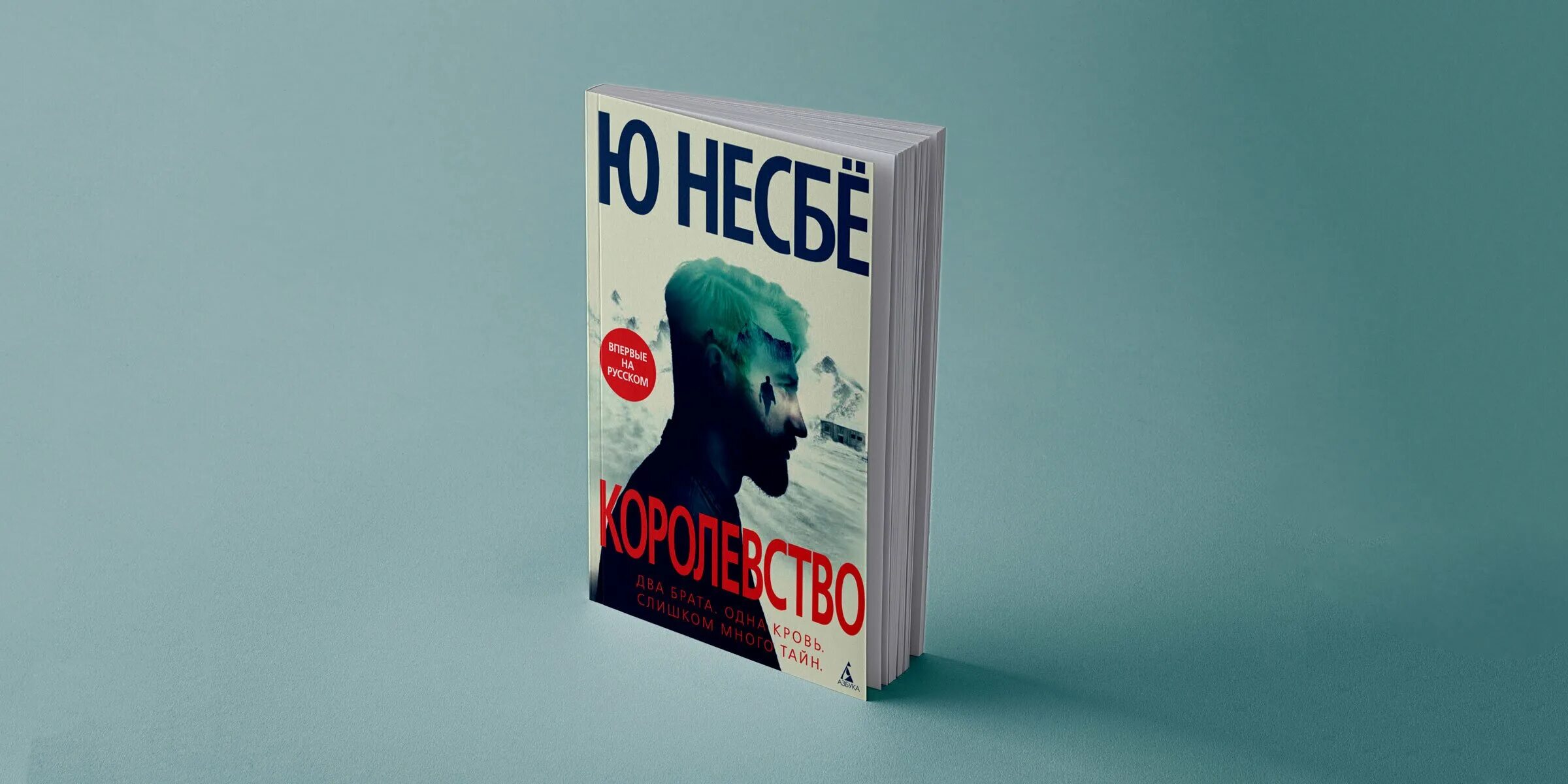 Холе ю. Книга королевство Несбе. Ю несбё. Королевство. Книга королевство (несбё ю). Обложка книги ю несбё королевство.