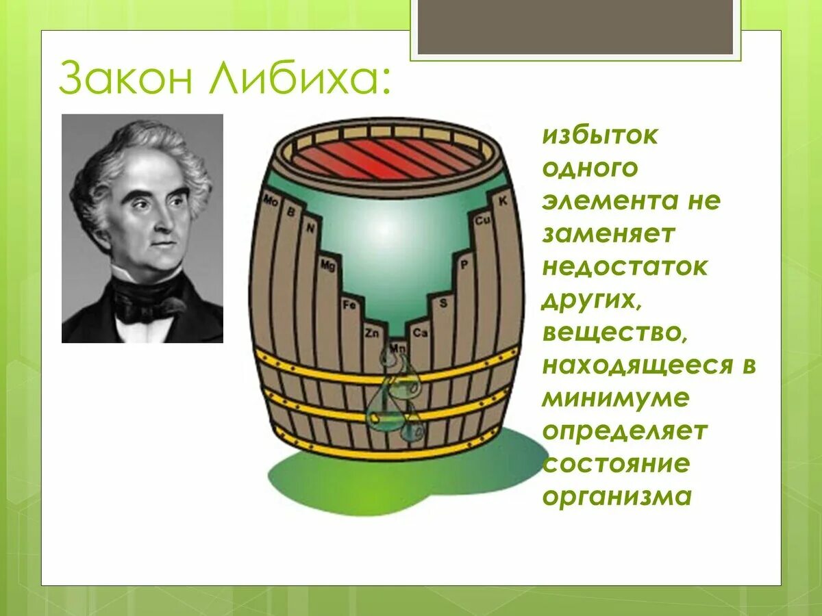 Закон минимума в экологии. Бочка Либиха и лимитирующие факторы. Биология бочка Либиха. Экология бочка Либиха. Бочка Либиха закономерность.